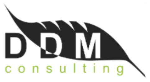 DDM Consulting
