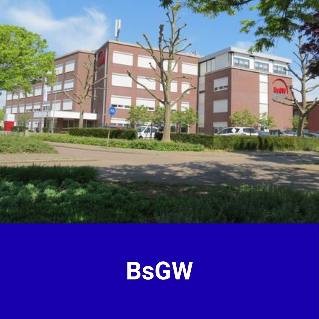 BsGW